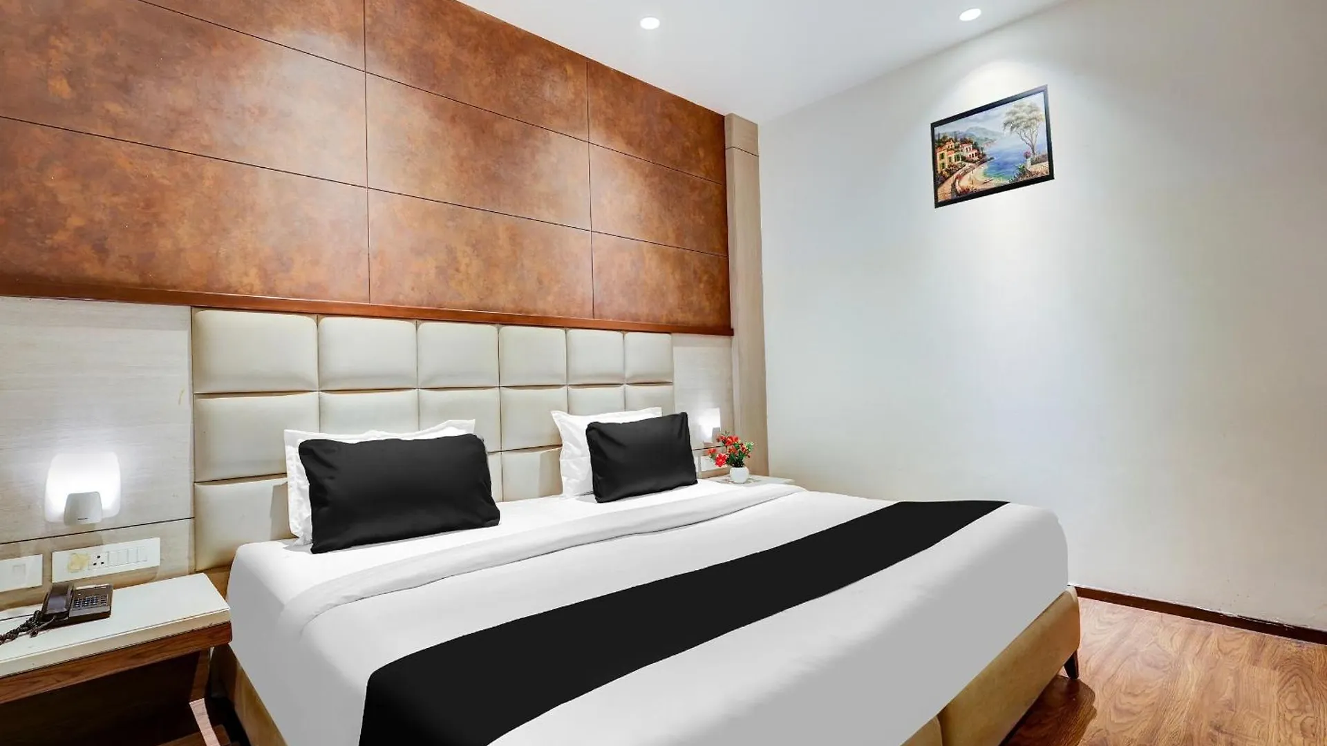 Hotel Ivy Plaza Near Igi Airport New Delhi 4*,  India